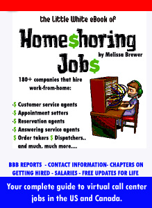 Little White eBook of Homeshoring Jobs